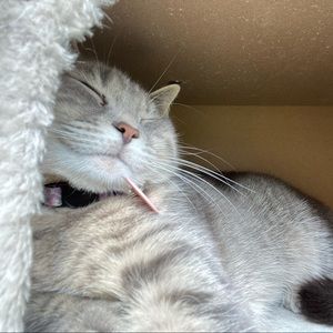 Meet your Posher, Marcie